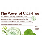 Tage Cica-Tree Cooling Jelly to Foam Cleanser