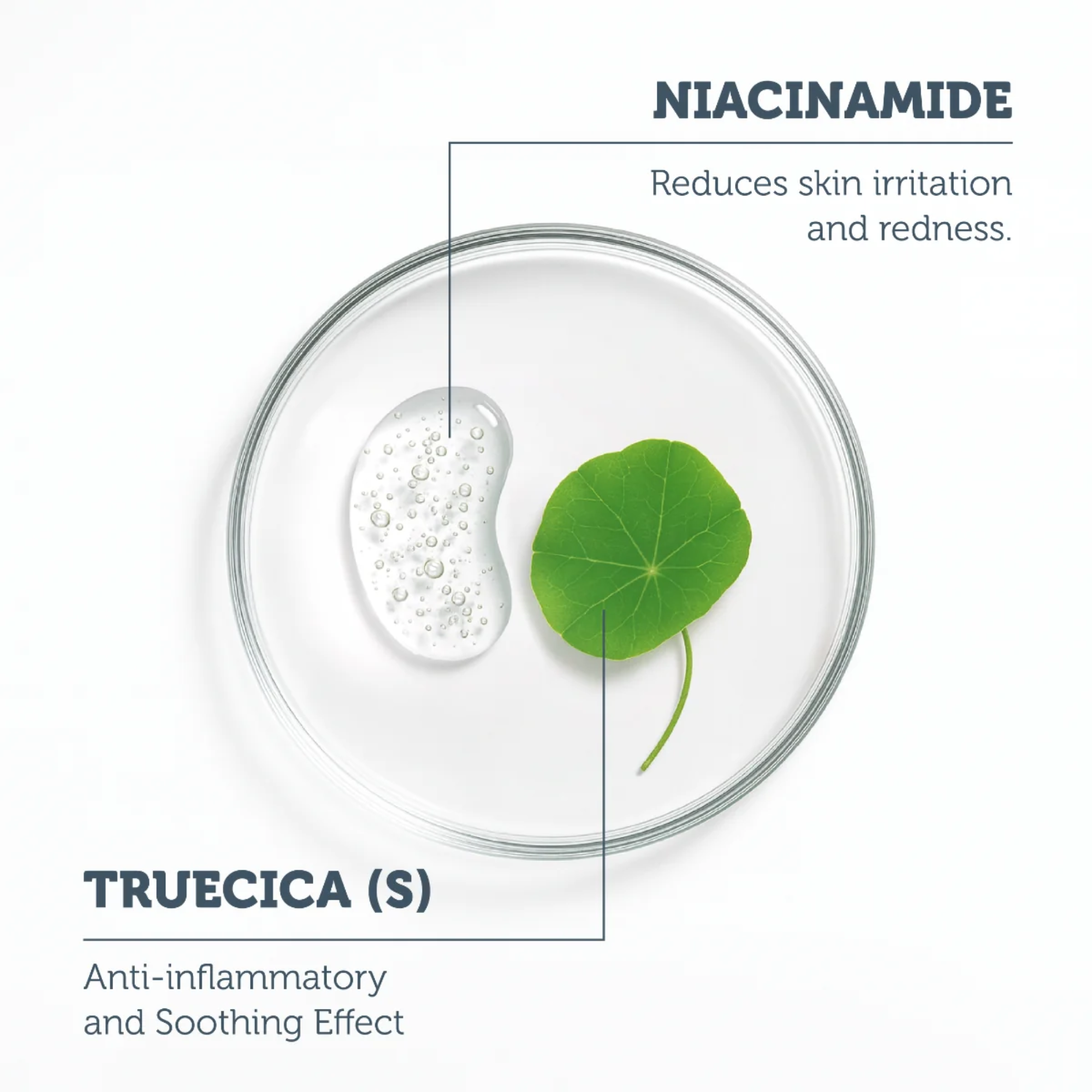 The Purest Solutions Microneedle Acne Patches