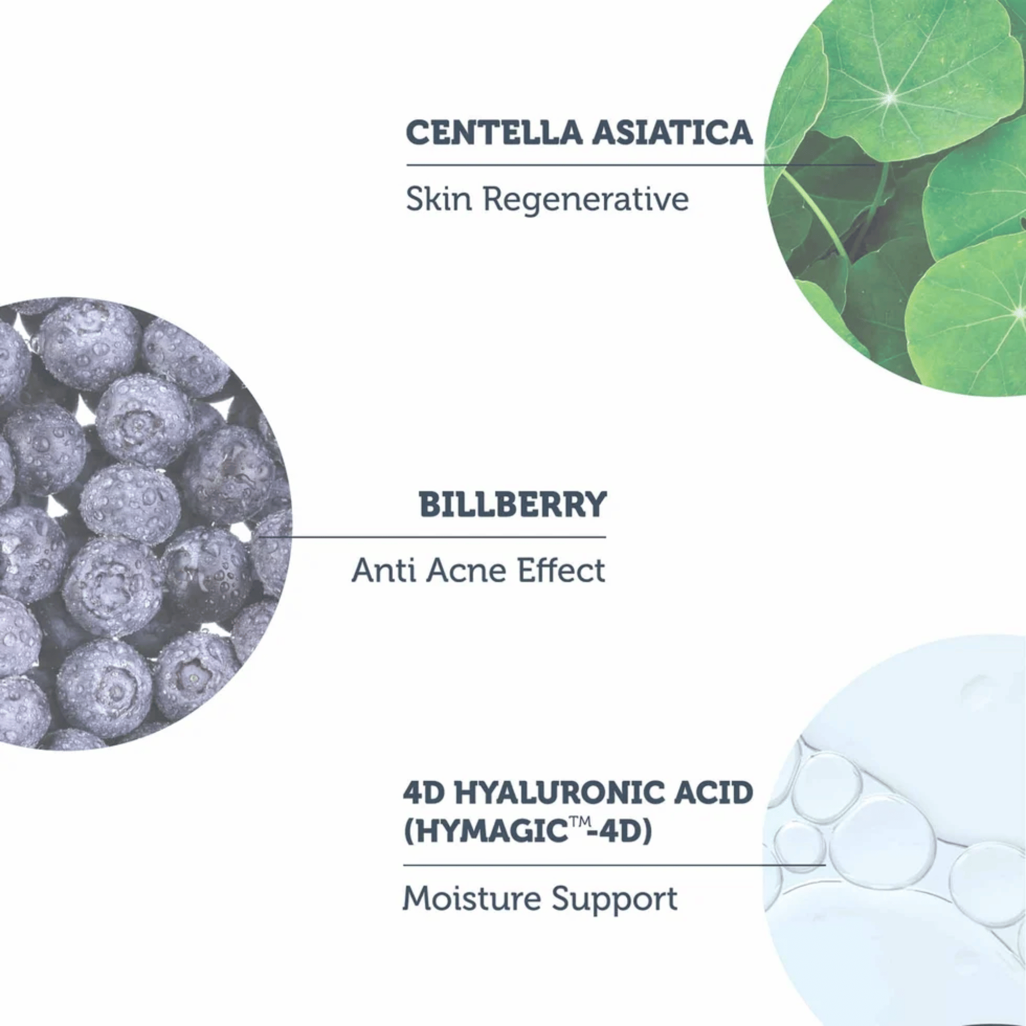 The Purest Solutions Spf 50+ PA ++++ Dry-Touch Protection Sunscreen