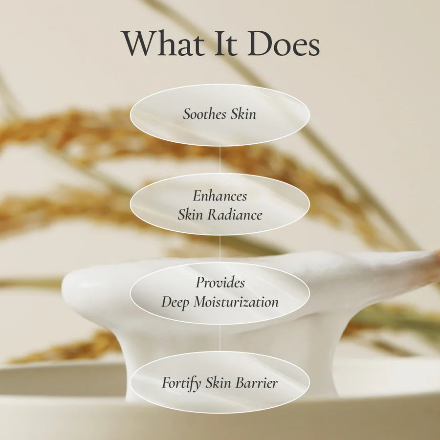 Fully Rice Dough Modeling Mask 1 Piece