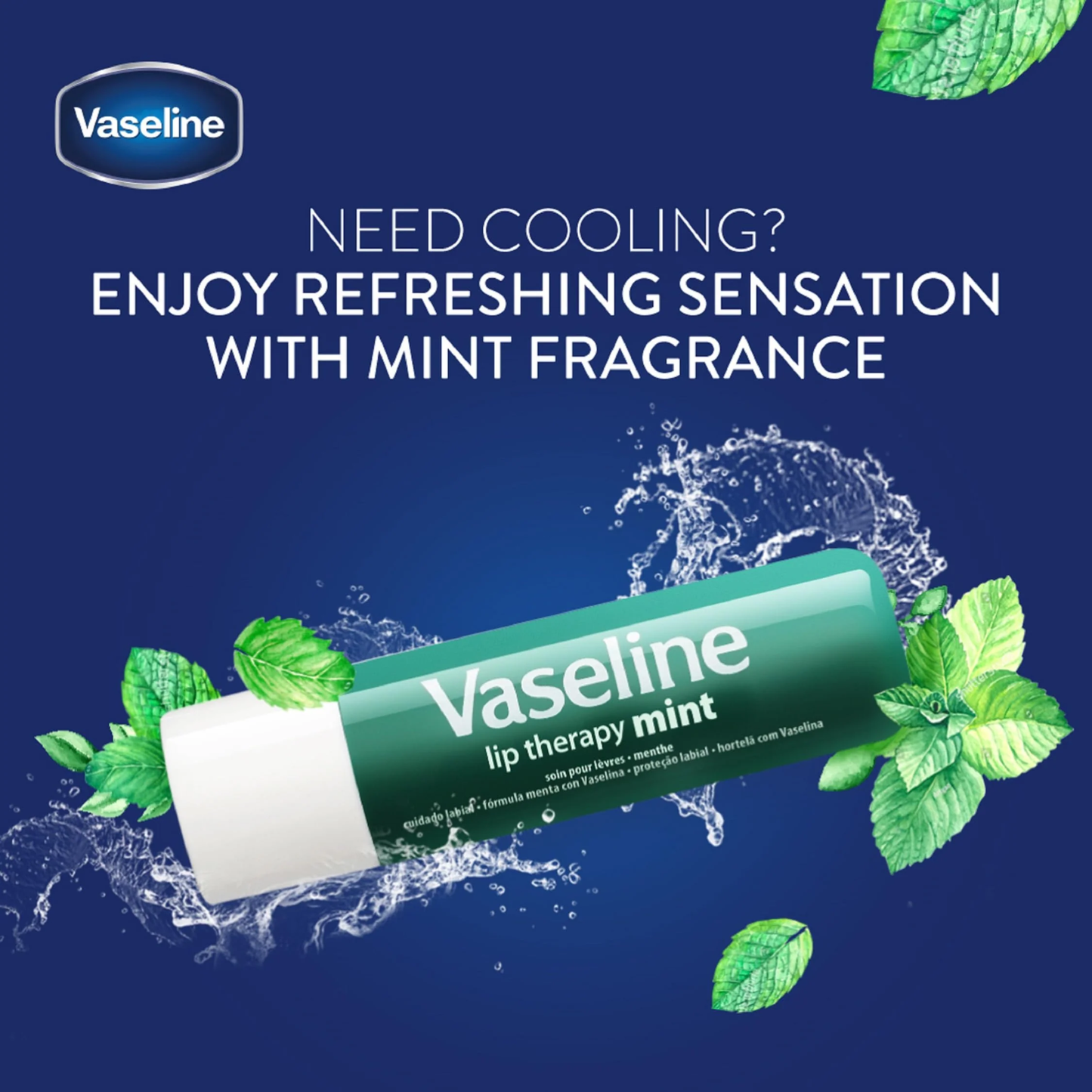Vaseline Lip Therapy Korea Mint Stick 4.8gm