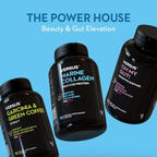 Versus The Power House Bundle