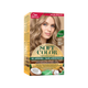 8/81 Sahara Pearl Blonde
