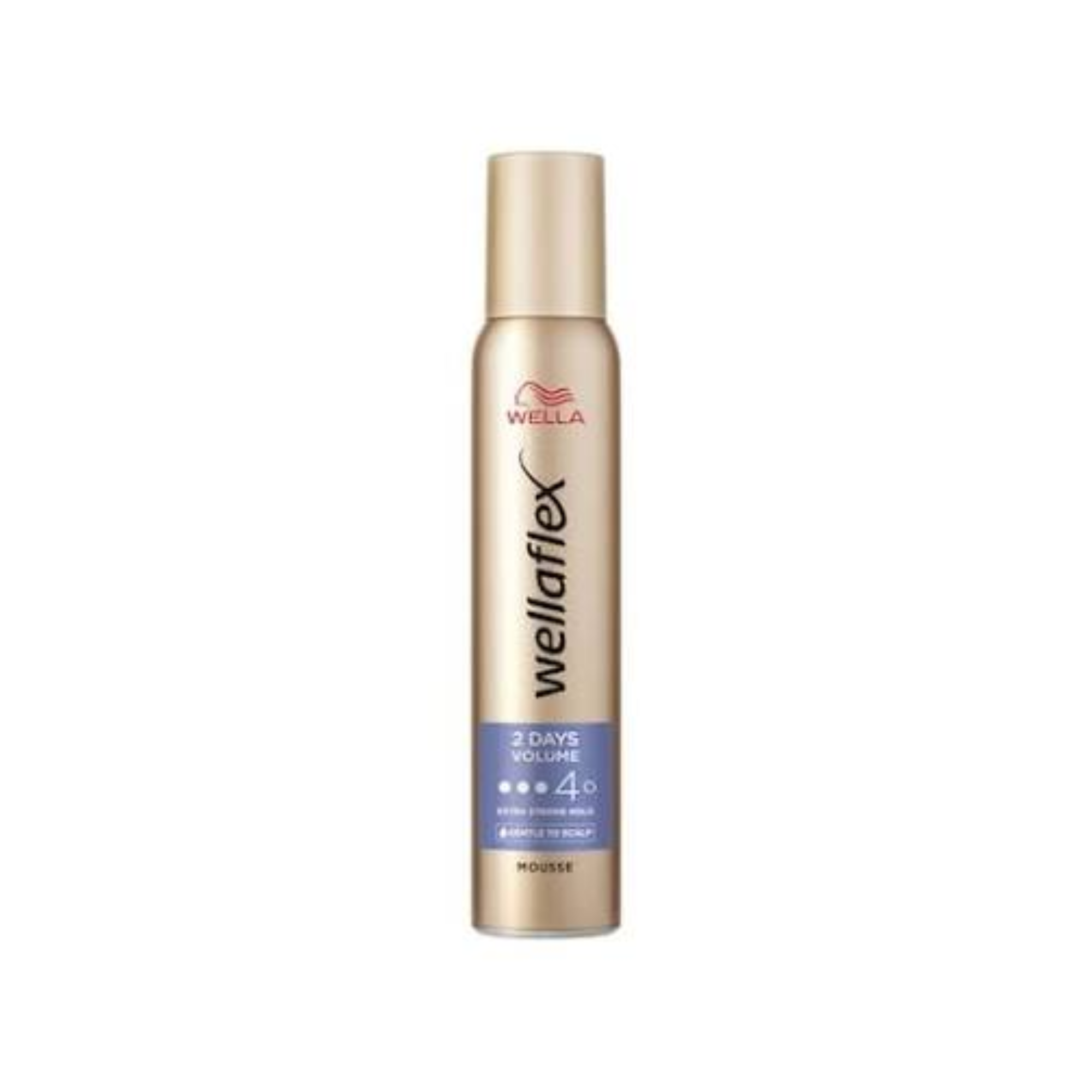 Wellaflex 2nd Day Volume Mousse