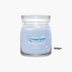 Yankee Ocean Air Scented Candle