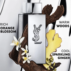 Yves Saint Myslf L Absolu Parfum For Men