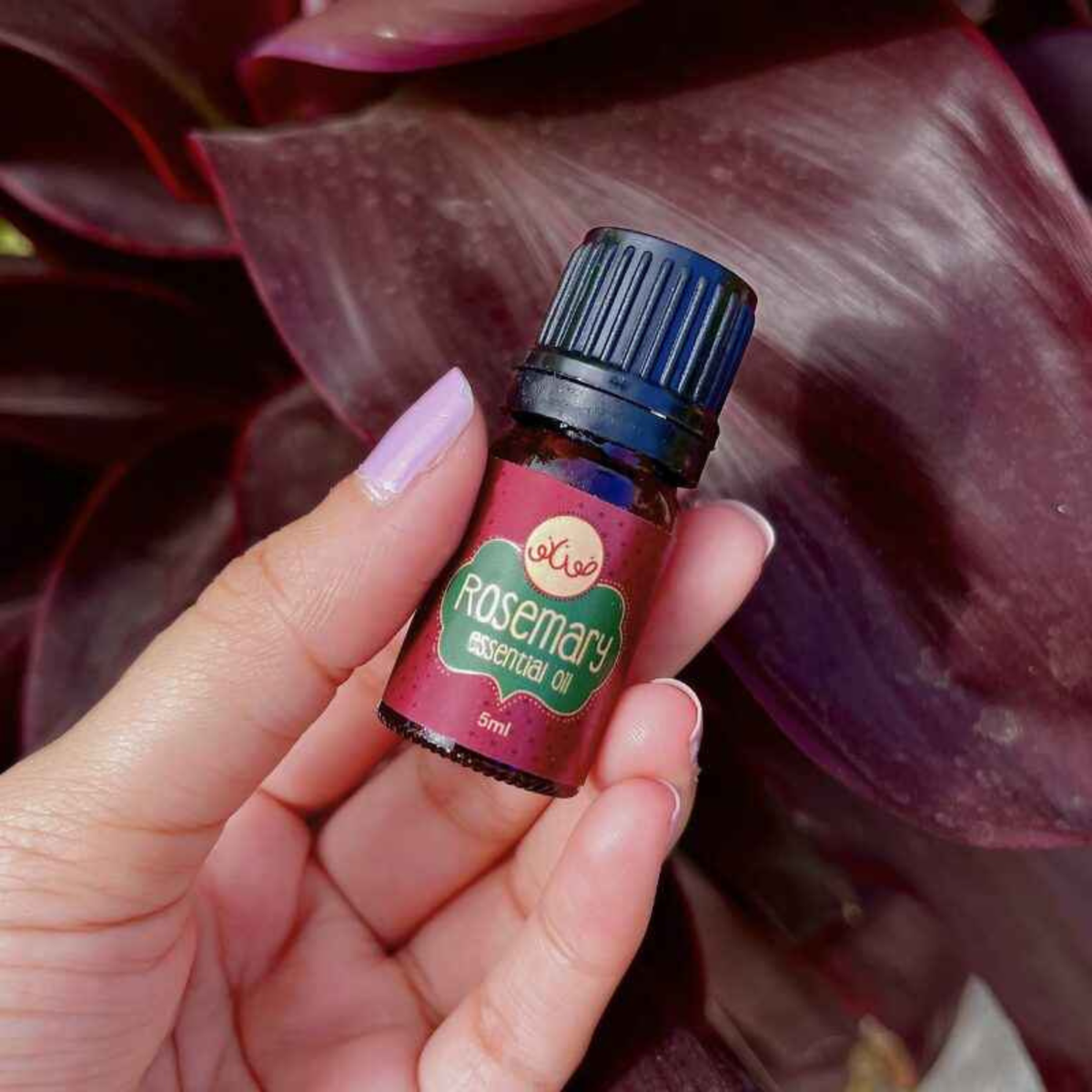 Zo'Nanos Rosemary Essential Oil