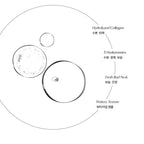 Bad Skin Collagen Bomb Hydrating Ampoule 400ml - TheSkinFit