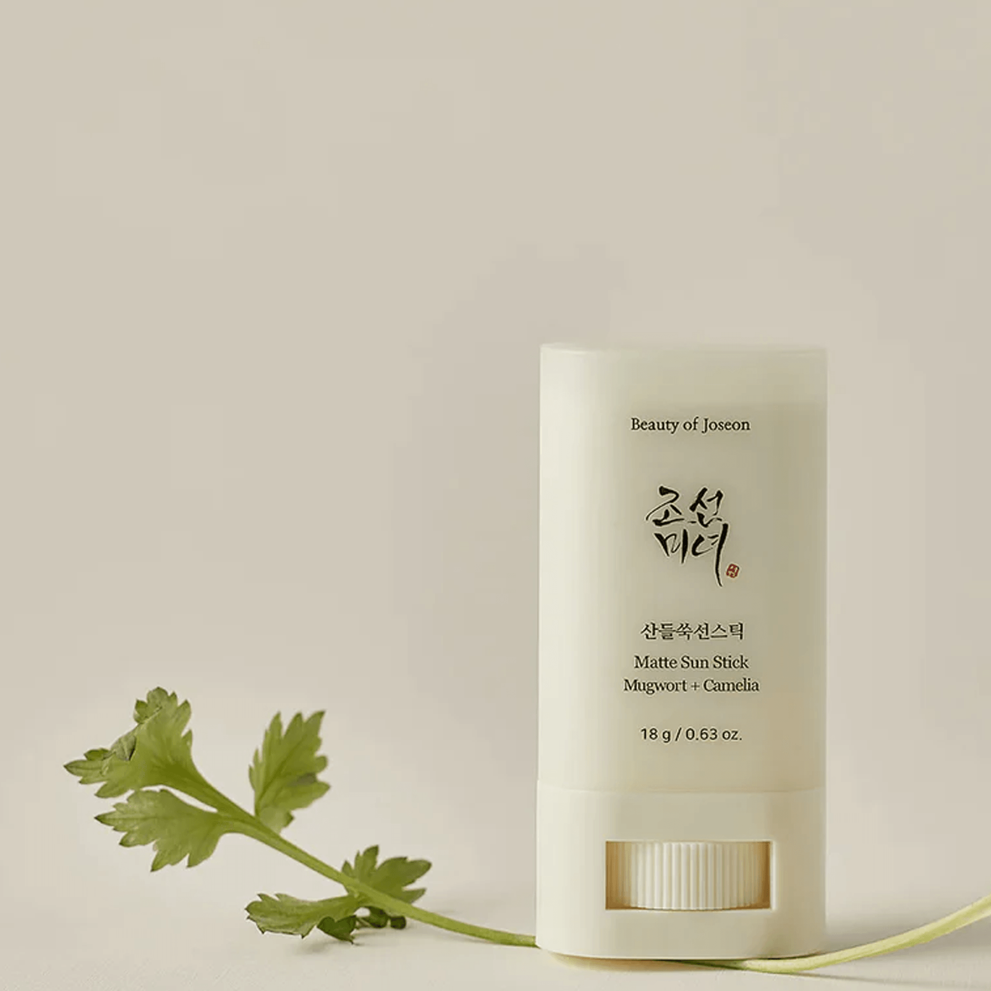 Beauty of Joseon Matte Sun Stick Mugwort+Camelia SPF 50+ PA++++ 18gm - TheSkinFit