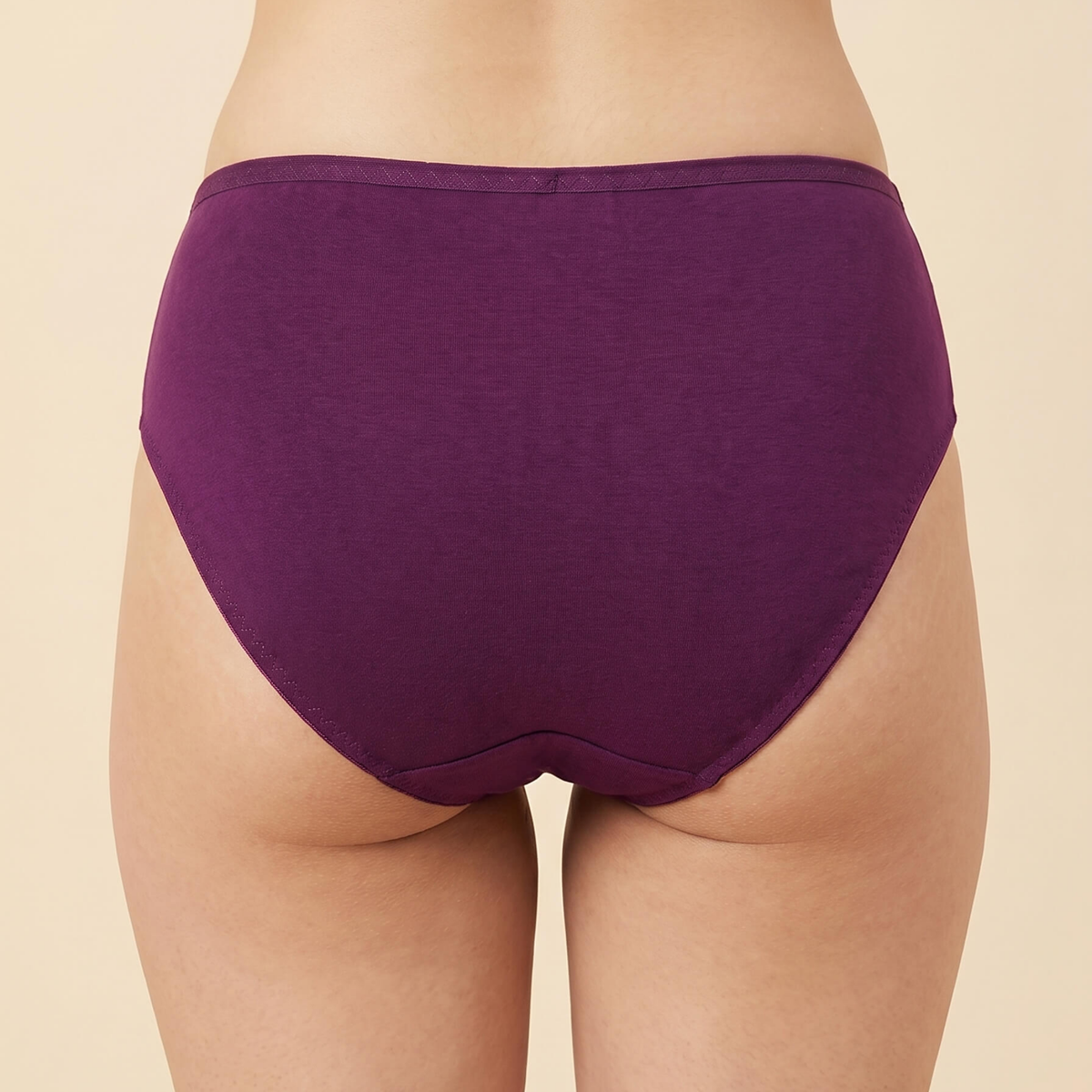 Bebelle SILKIE Smart Fit Polyester Jersey High-Leg Brief Panty