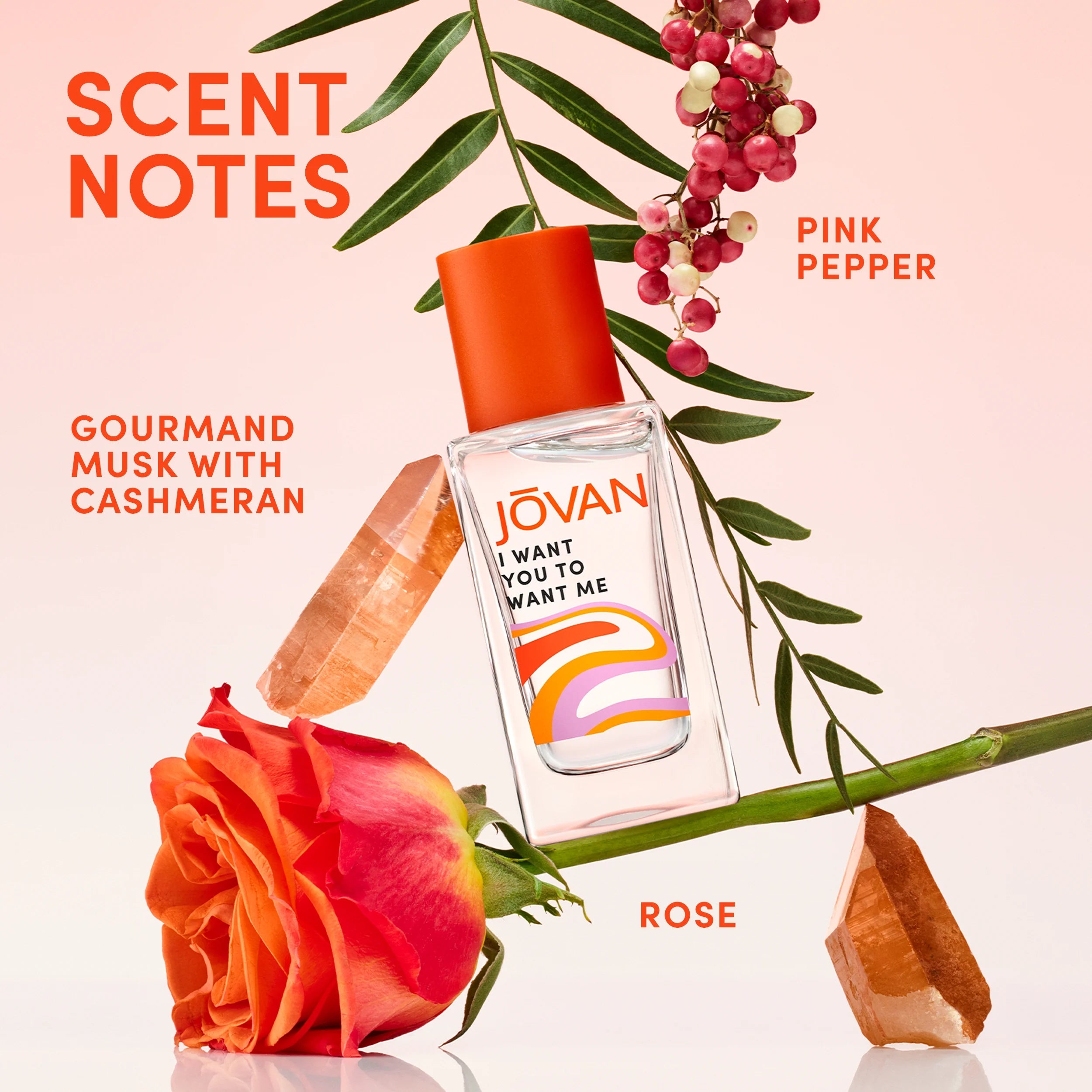 Jovan I Want You to Want Me Sensual Musk Eau de Parfum Unisex 100ml Price in Pakistan