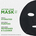 Garnier SkinActive Pure Charcoal Black Sheet Mask Mattifying + Hydrating Oily Skin - TheSkinFit
