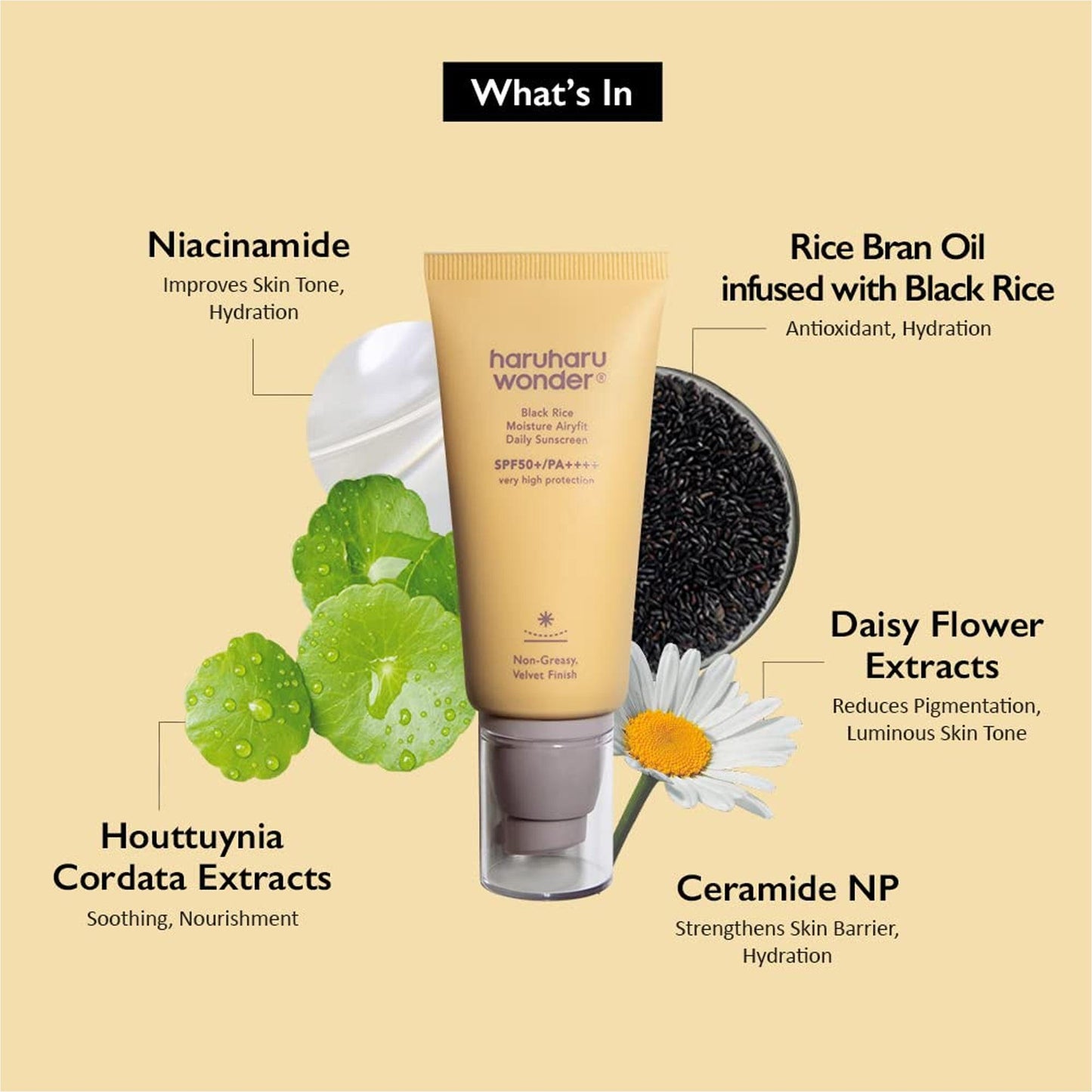 Haruharu Wonder Black Rice Moisture Airyfit Daily Sunscreen SPF50+/PA++++ 50ml - TheSkinFit