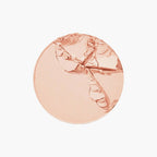 Maybelline New York Super Stay 24H Full Coverage Powder Foundation 130 Buff Beige 6gm - TheSkinFit