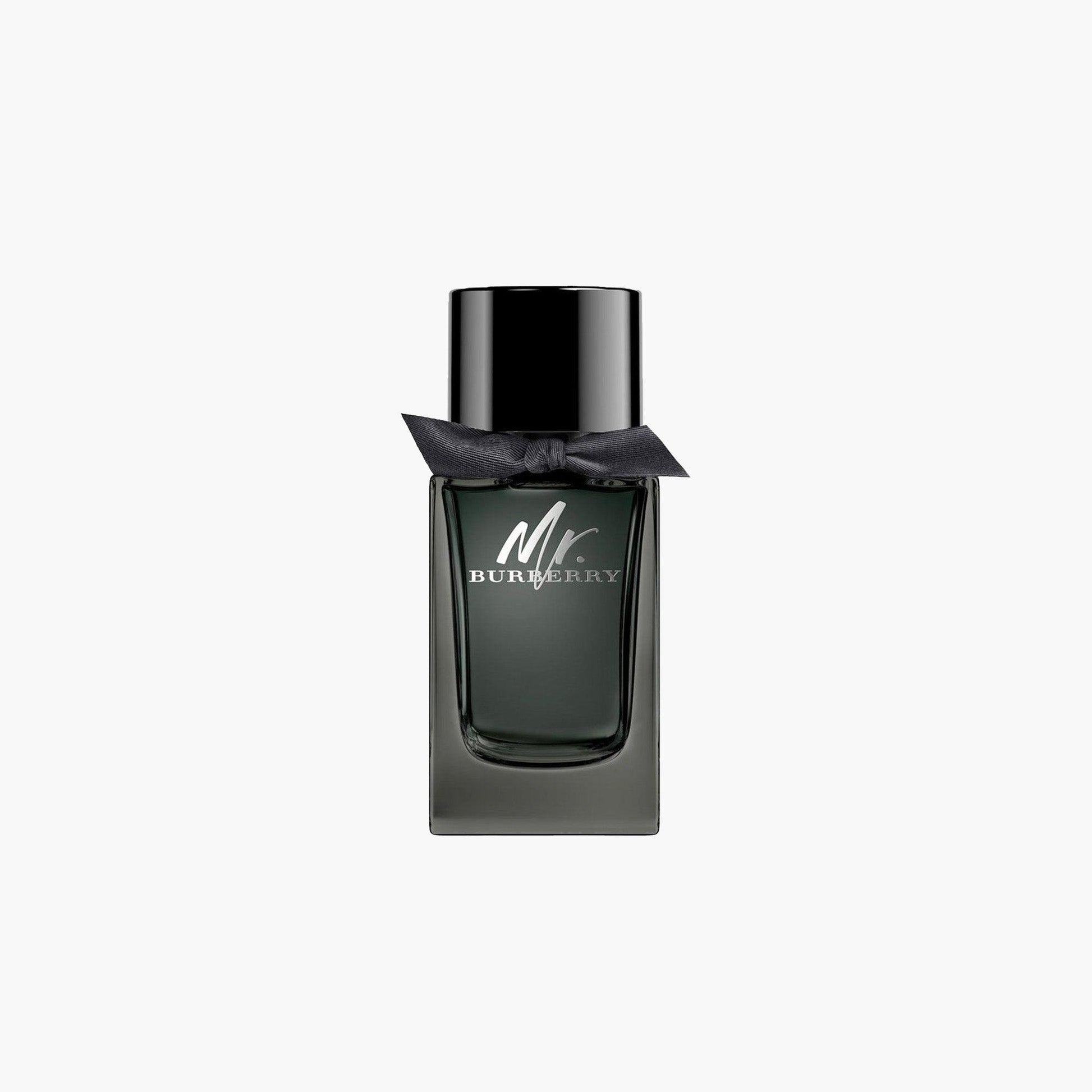 Burberry Mr Burberry Men Eau De Parfum 100ml - TheSkinFit