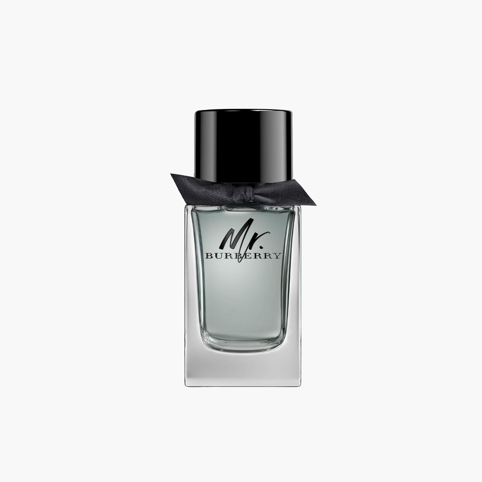 Burberry Mr Burberry Men Eau De Toilette 100ml