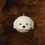 Candle Wick Store Puppy Face Candle price in Pakistan