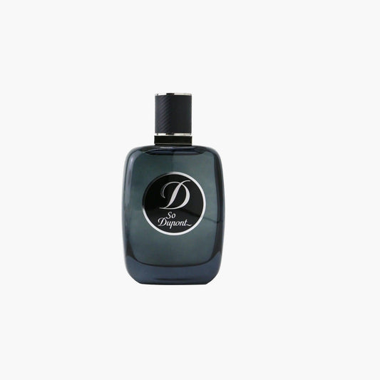 S.T. Dupont Night Men Eau De Toilette 100ml - TheSkinFit