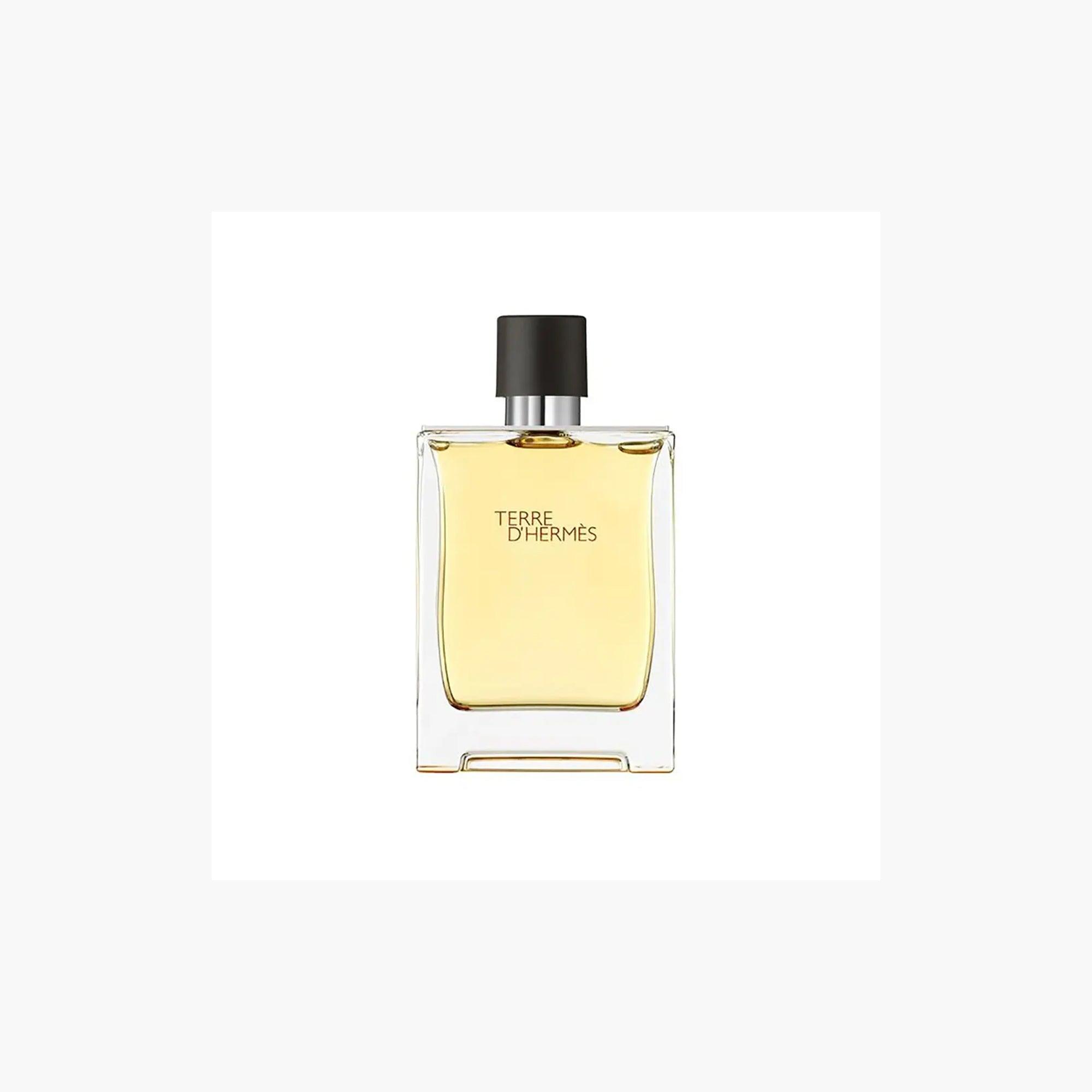 Hermes Terre D'Hermes Eau De Toilette 100ml - TheSkinFit