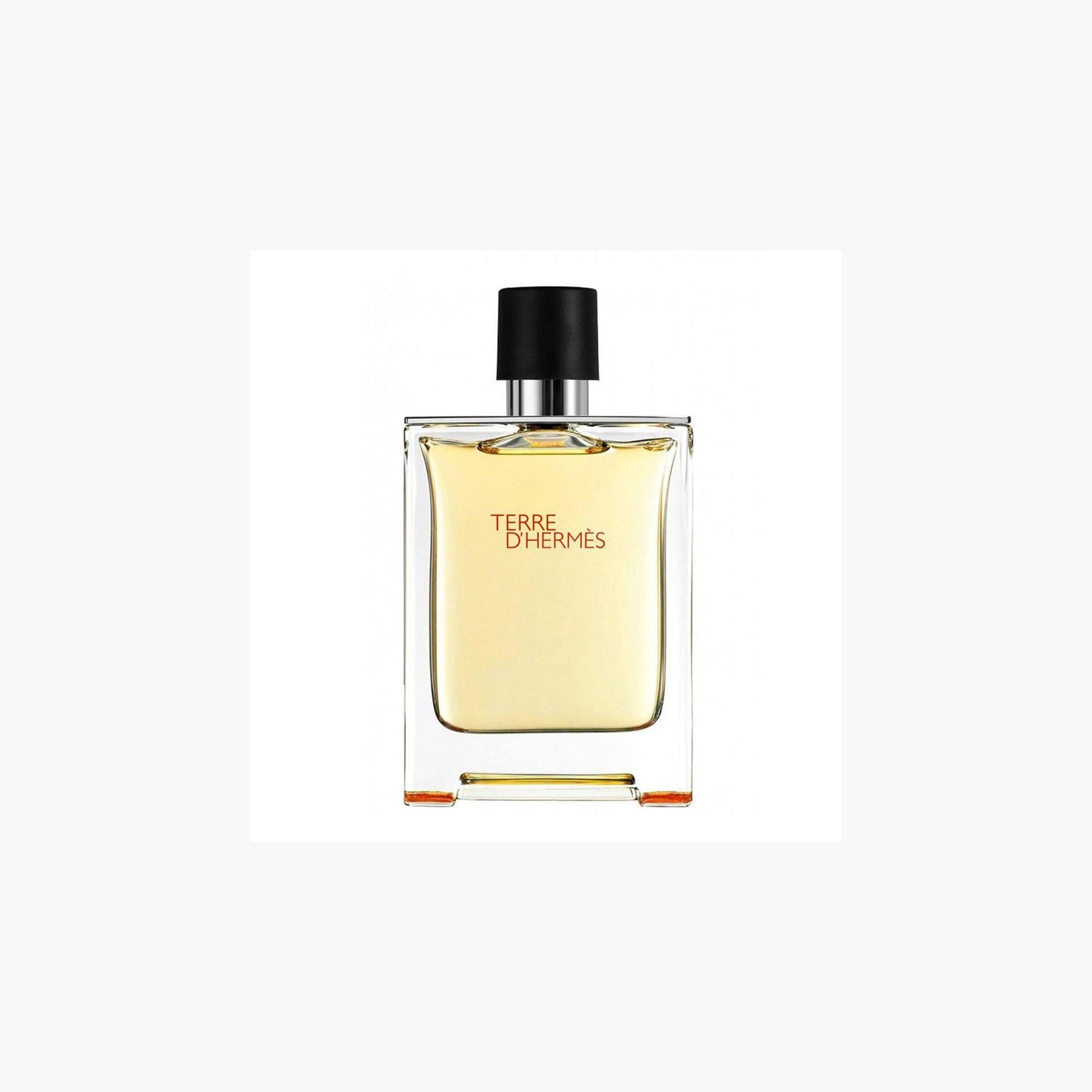 Hermes Terre D'Hermes Perfume 75ml