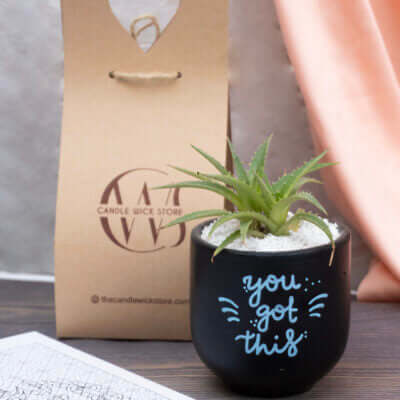 Candle Wick Store Planter You Got This (Only Available in Karachi)